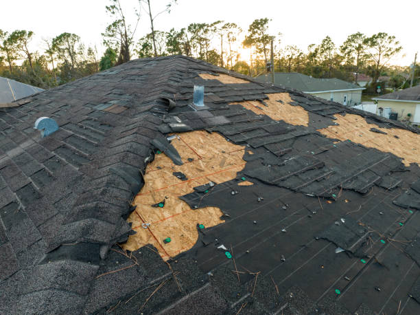 Fast & Reliable Emergency Roof Repairs in Ogden Dunes, IN